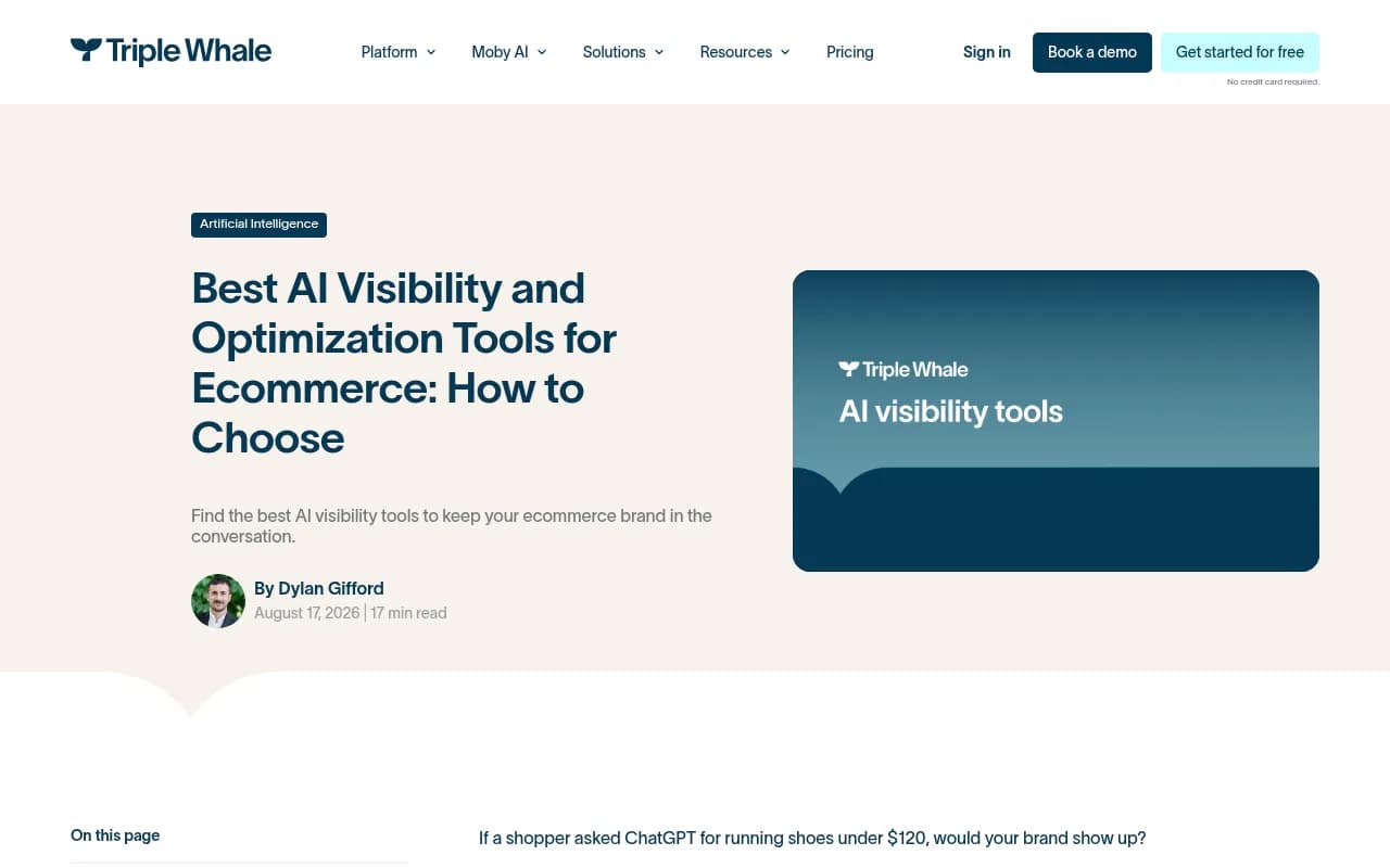 Triple Whale guide to AI visibility and optimization tools for ecommerce