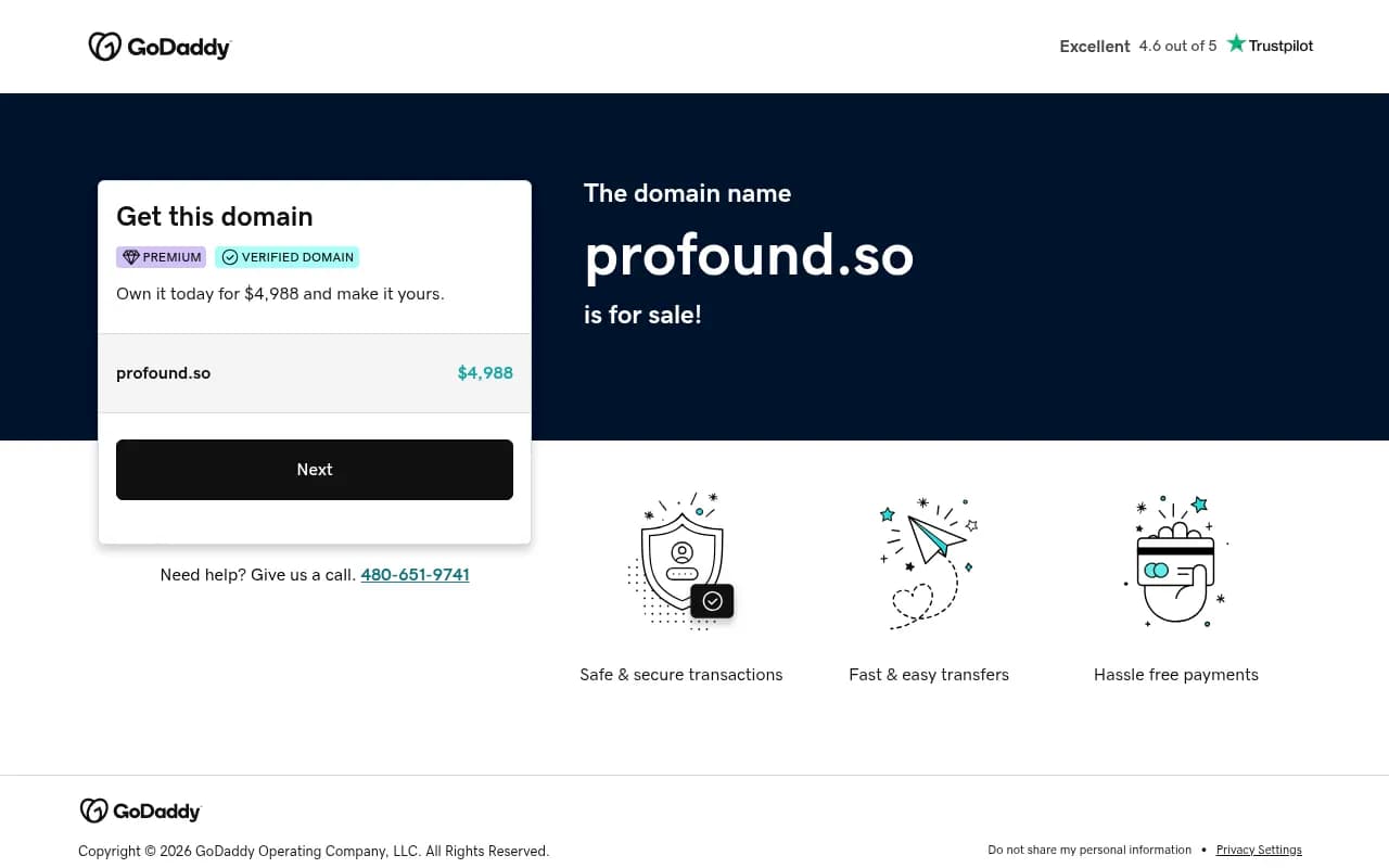 Screenshot of Profound website