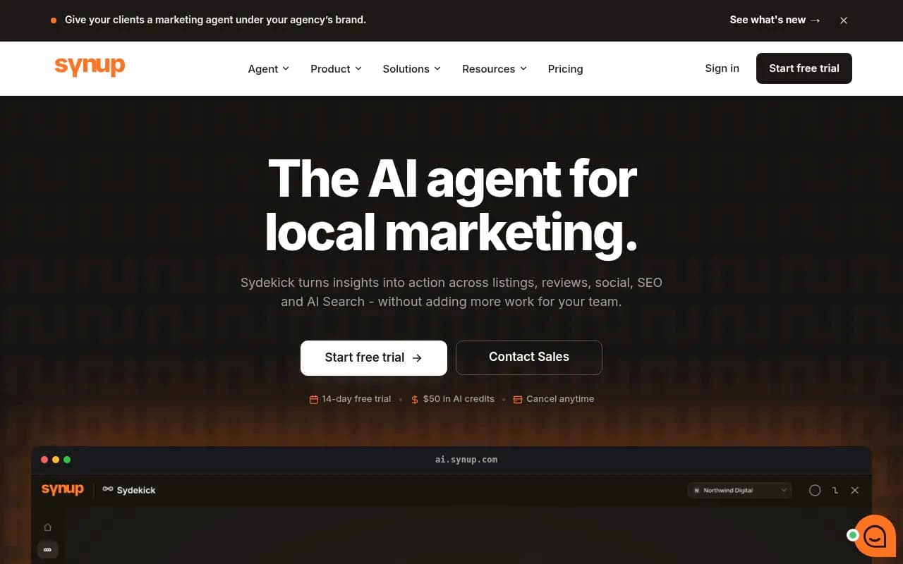 Screenshot of Synup website