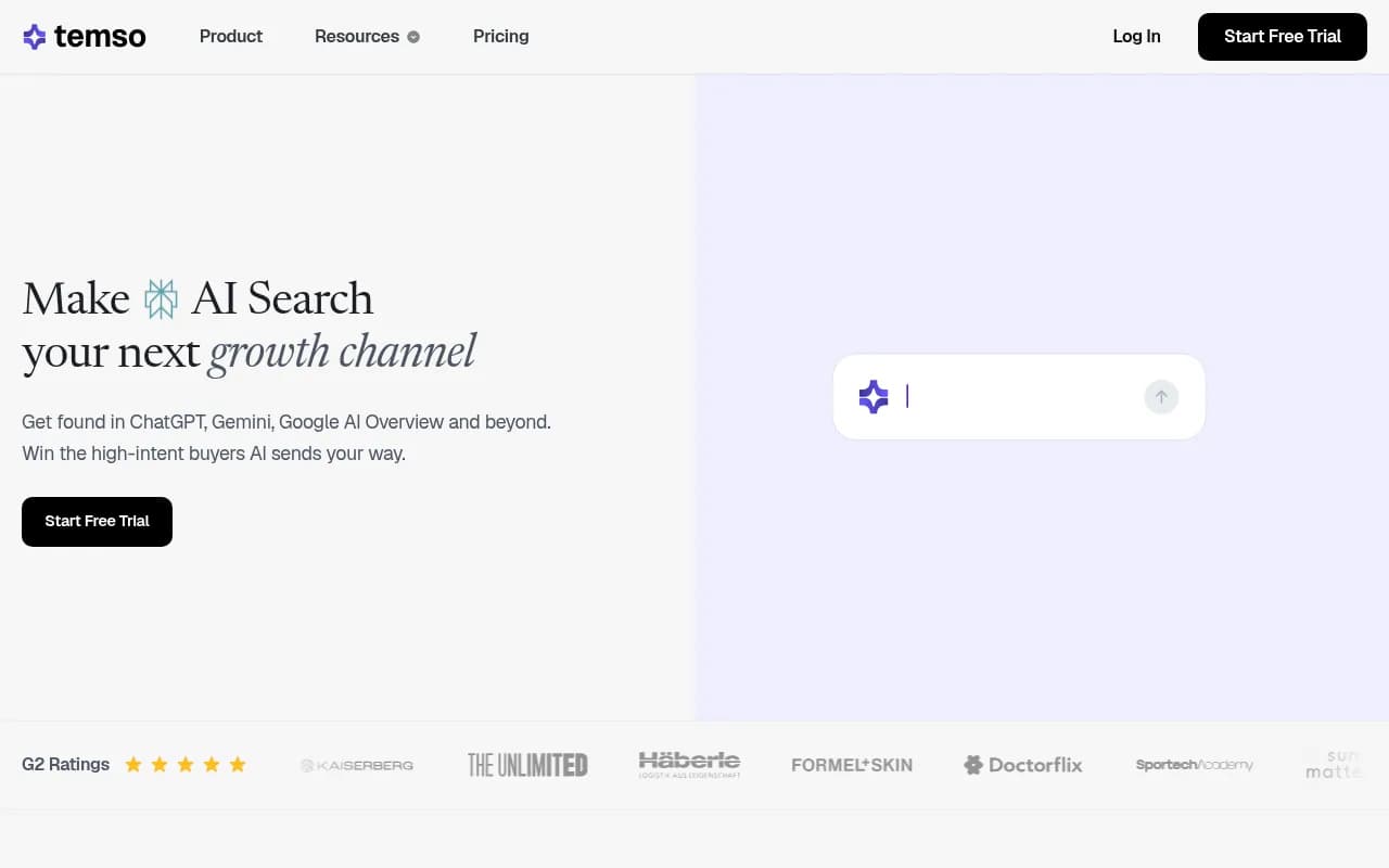 Screenshot of Temso AI website