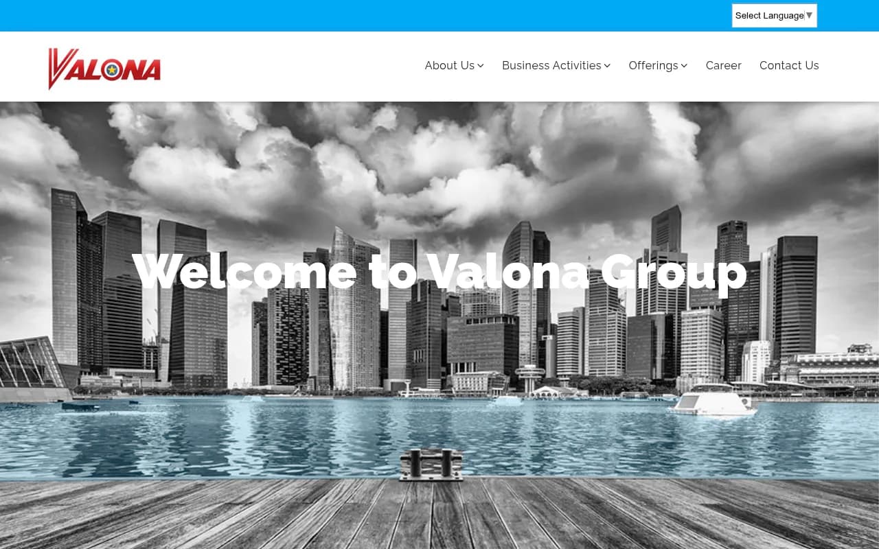 Screenshot of Valona Intelligence website