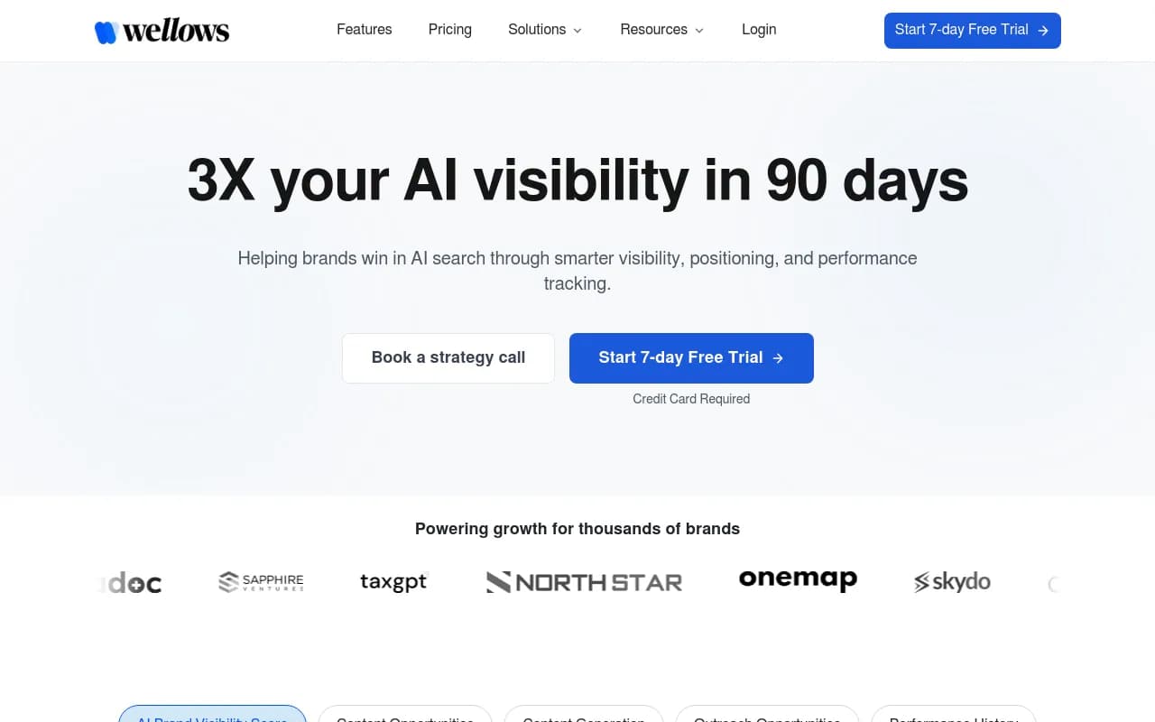 Screenshot of Wellows website